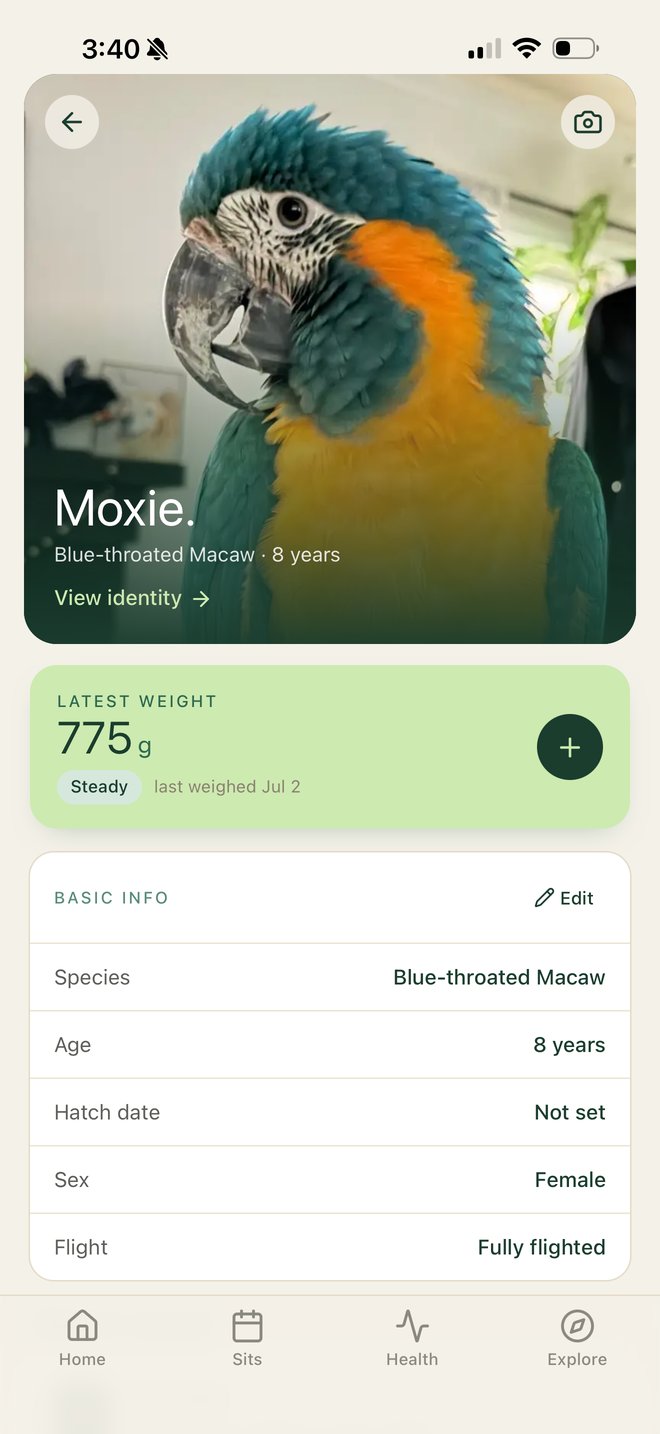 Kya & Co. bird profile screen